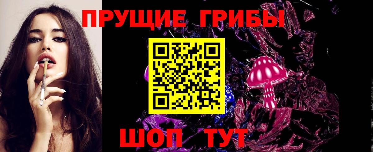 Псилоцибиновые грибы GOLDEN TEACHER Калуга